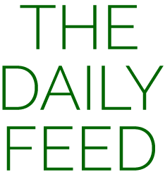 The Daily Feed